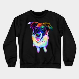 Rainbow Border Collie Dog Mix Crewneck Sweatshirt